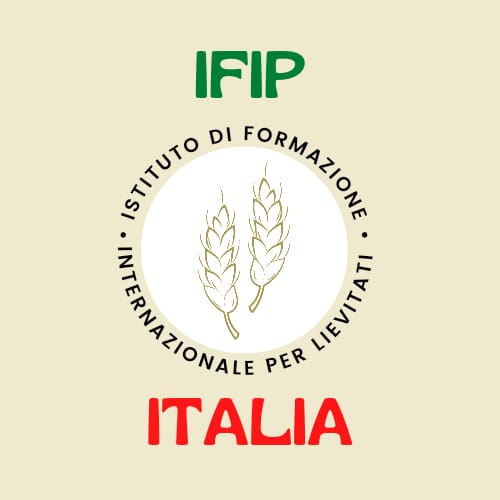 IFIP ITALIA